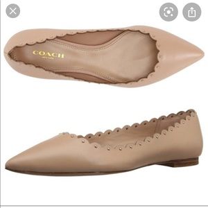 BNWT Coach Scalloped Ballet Flats, Nude, 7.5